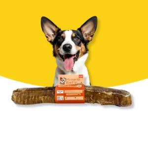 Snack tráquea entera para perros