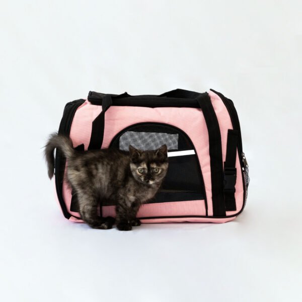 Bolso Momo para gato