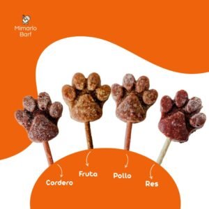 Kit x 4 Paletas Mini Para Perros 🍗🥩🍖🥭